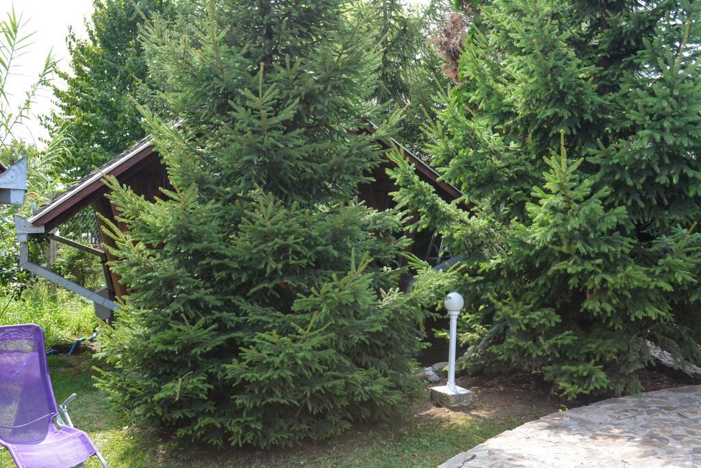 Camping Robinson Country Club Oradea Exteriör bild
