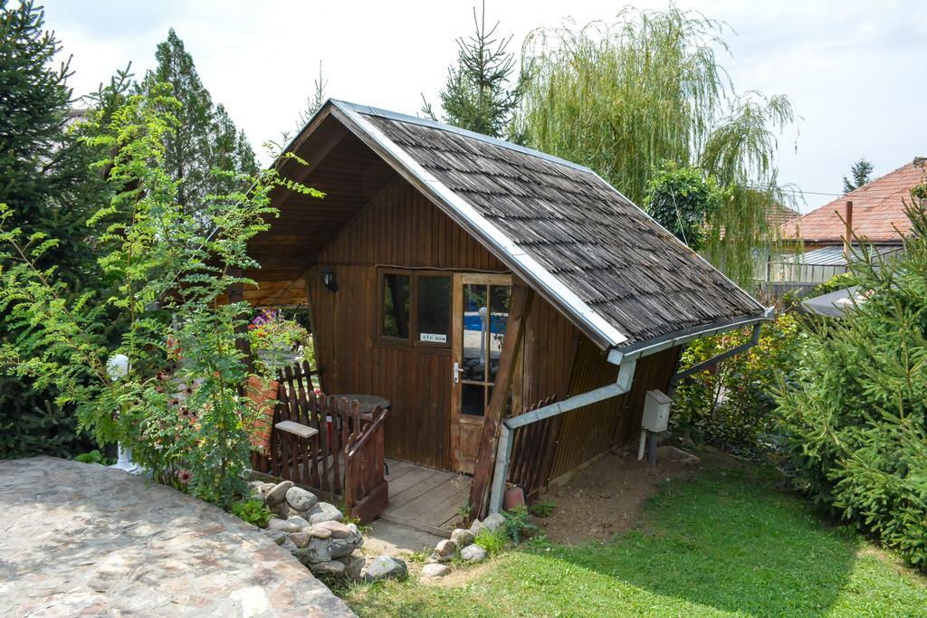 Camping Robinson Country Club Oradea Rum bild
